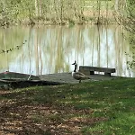 Avec Etang Privatise Apartament *