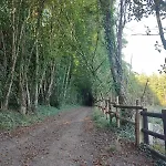 Avec Etang Privatise